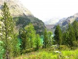 IMG_0393