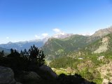 IMG_0403