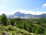 IMG_0408