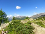 IMG_0409