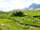 IMG_0425