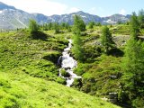IMG_0429