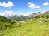 IMG_0436