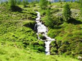 IMG_0445