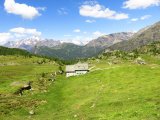 IMG_0447