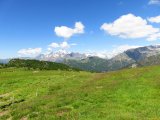 IMG_0455