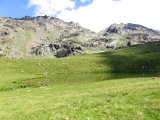 IMG_0458