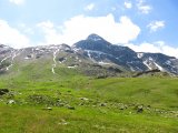 IMG_0460