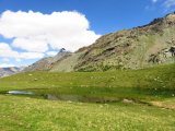 IMG_0464