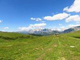 IMG_0466