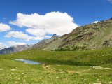 IMG_0469
