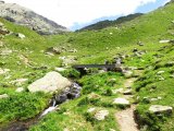 IMG_0477