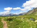 IMG_0480