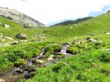 IMG_0483