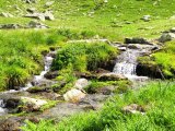 IMG_0486