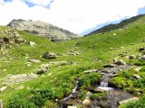 IMG_0488