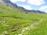 IMG_0491