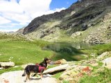IMG_0511