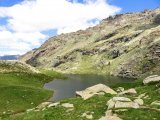 IMG_0516