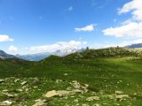 IMG_0518