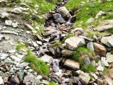 IMG_0537