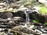 IMG_0538