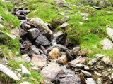 IMG_0545
