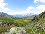 IMG_0555