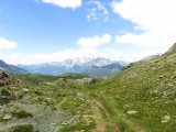 IMG_0561