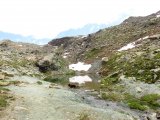 IMG_0570