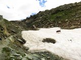 IMG_0595