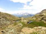 IMG_0602