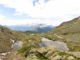 IMG_0665