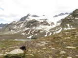 IMG_0745