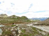 IMG_0777