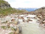 IMG_0782