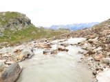 IMG_0788