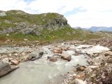 IMG_0792