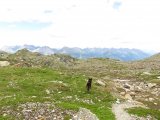 IMG_0809
