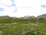 IMG_0810