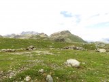 IMG_0813