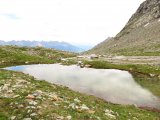 IMG_0826