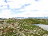 IMG_0827