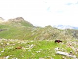 IMG_0829