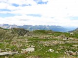 IMG_0841