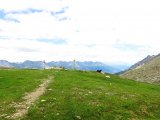 IMG_0849