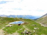 IMG_0857