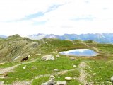 IMG_0861