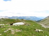 IMG_0870