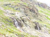IMG_0880